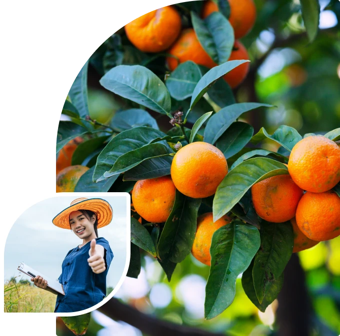 Gieo mầm bền vững, gặt mùa an yên