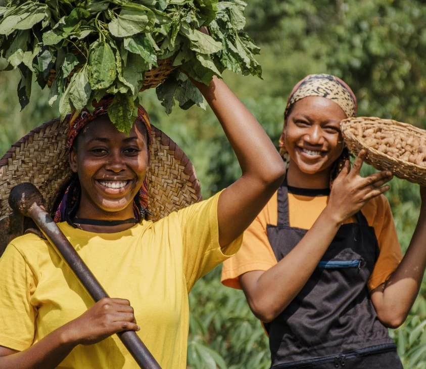 Khám phá nghệ thuật canh tác bền vững