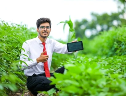 Cóc non sấy dẻo